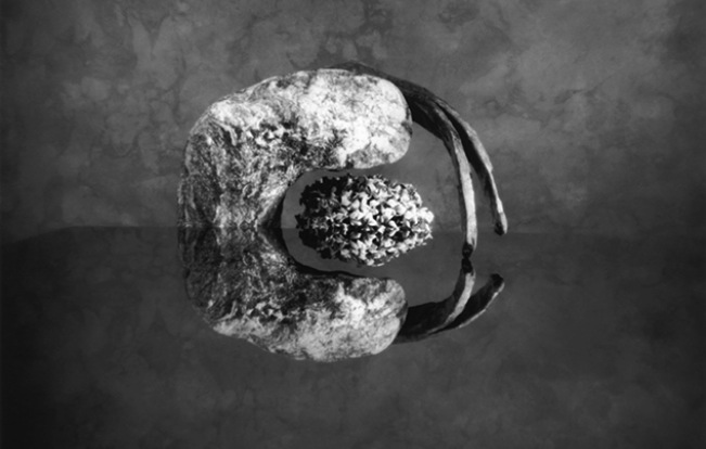 Una delle suggestive immagini di Alberto Flammer