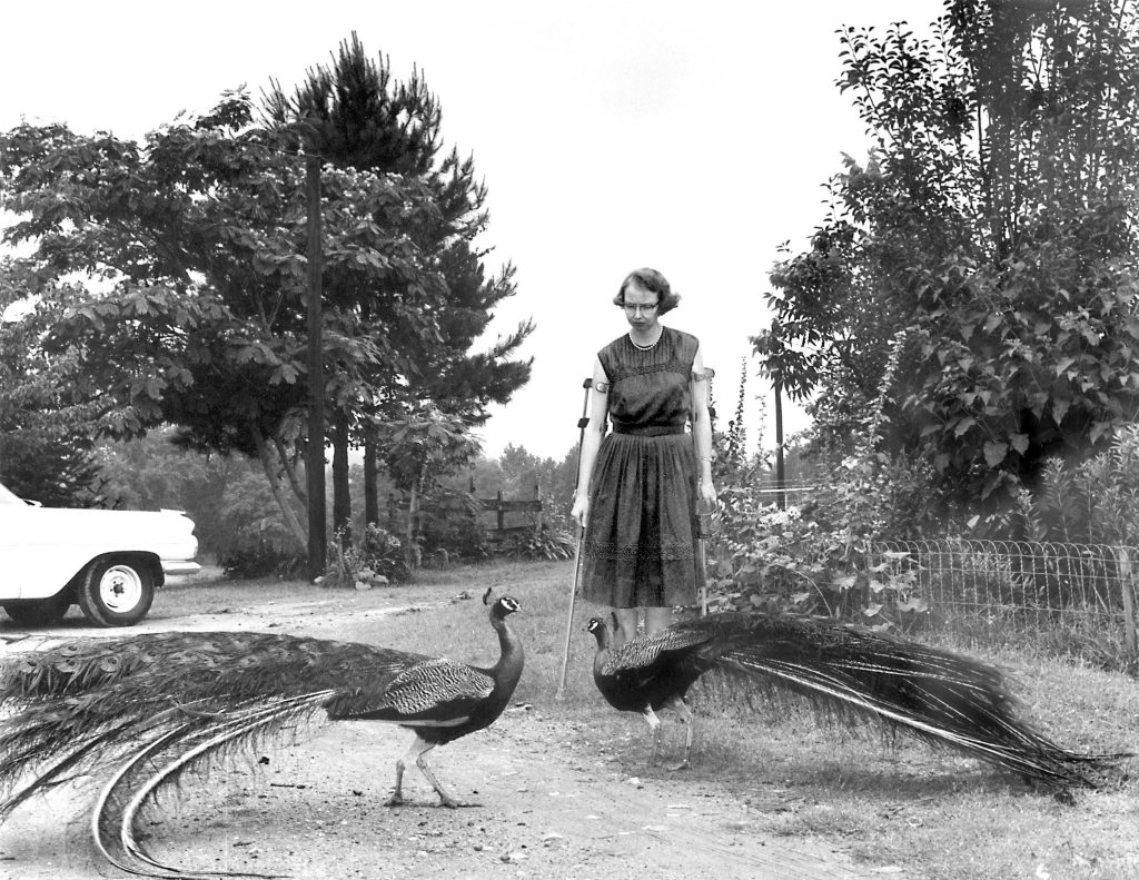 Flannery O’Connor (1925-1964) in una foto degli Anni Cinquanta (Keystone)