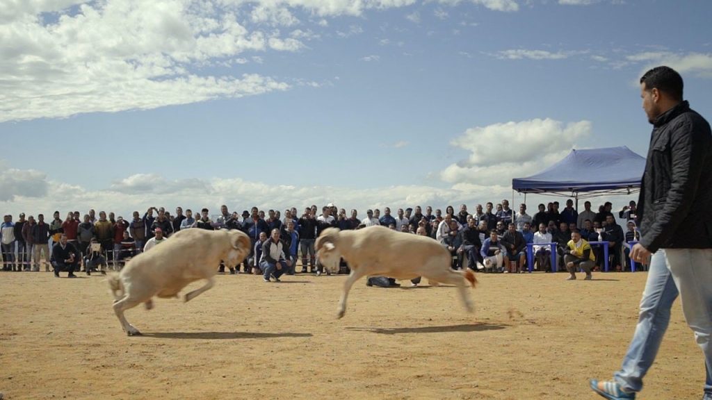 Una scena del film, che è stato girato in Algeria (youtube)