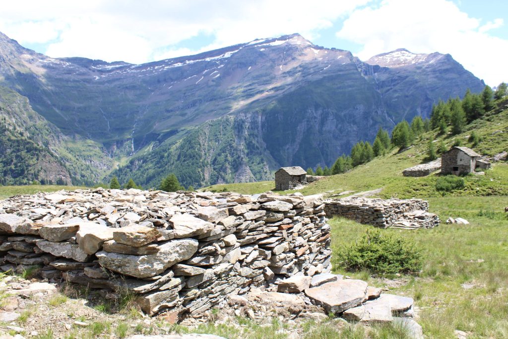 Alpe di Sceru, Val Malvaglia, come si presenta dopo gli interventi di Martino Pedrozzi (Elia Stampanoni)
