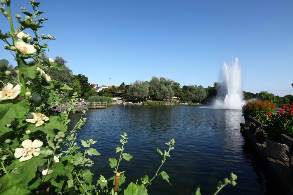 Münchenstein sa sedurre in particolare con il suoi giochi d’acqua, alle porte di Basilea