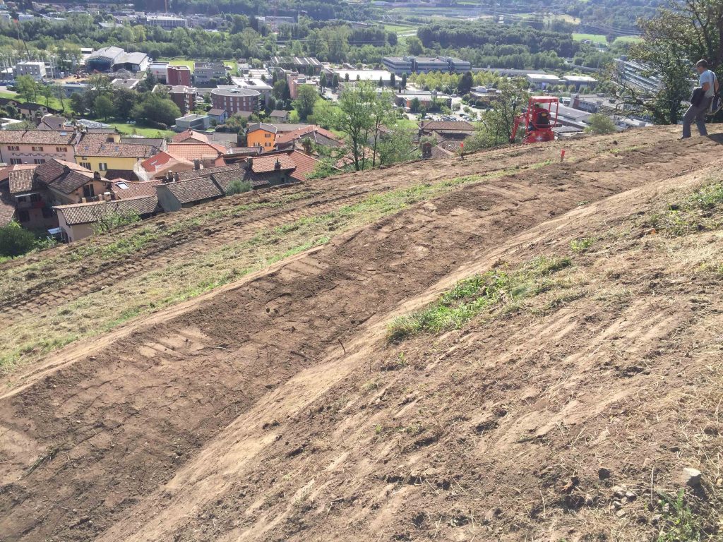 Lavori di terrazzamento al Ronco Dò, a Manno, primavera 2017 (Marco Delucchi – Fondo svizzero per il paesaggio)