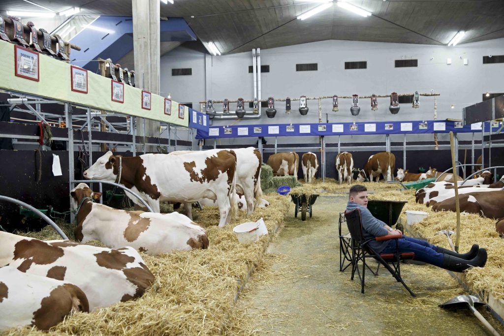 In alcuni settori, quali agricoltura e turismo, anche quando vengono pianificate, le riduzioni dei sussidi sono difficilmente attuabili (Keystone)