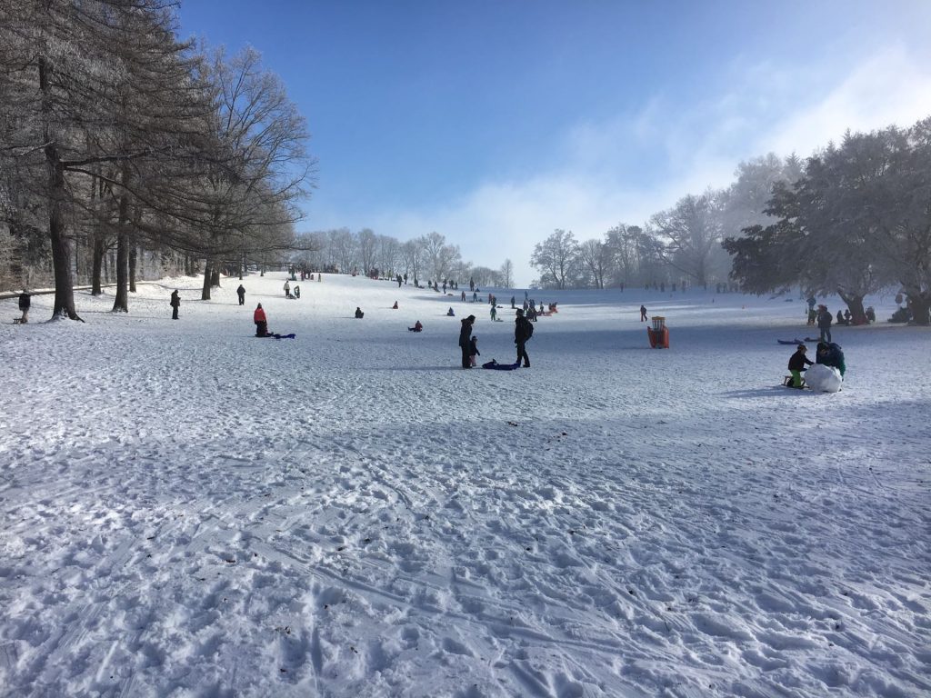 Sul Gurten, ci si diverte in tutte le stagioni