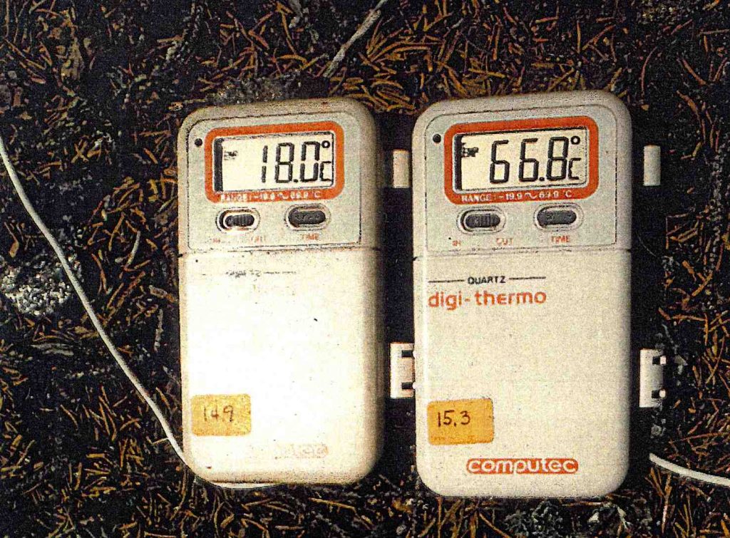Temperature registrate simultaneamente sulla lettiera di peccia al bosco «Gualdo Maggiore», Olivone, nel luglio 1981. A sinistra all’ombra, a destra al sole (Alessandro Focarile)