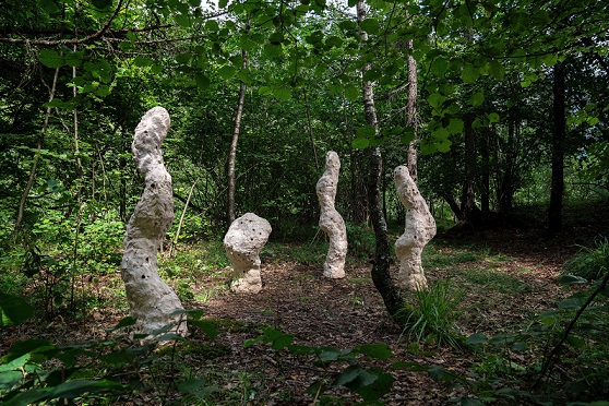 Selina Baumann, Rupestre, 2020, Ceramica, terra (© Yanik Bürkli, CLUS AG)