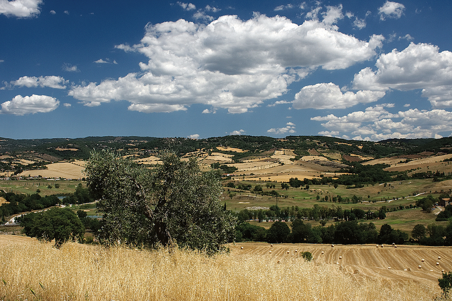 Paesaggio toscano (Pixabay)