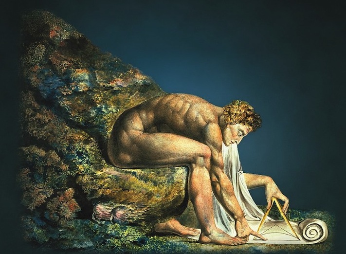 Dalla copertina del libro