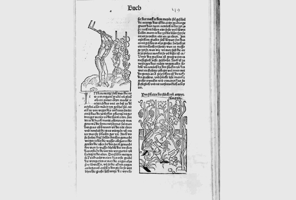 Illustrazione tratta da una delle tante edizioni tradotte del Liber ruralium commodorum