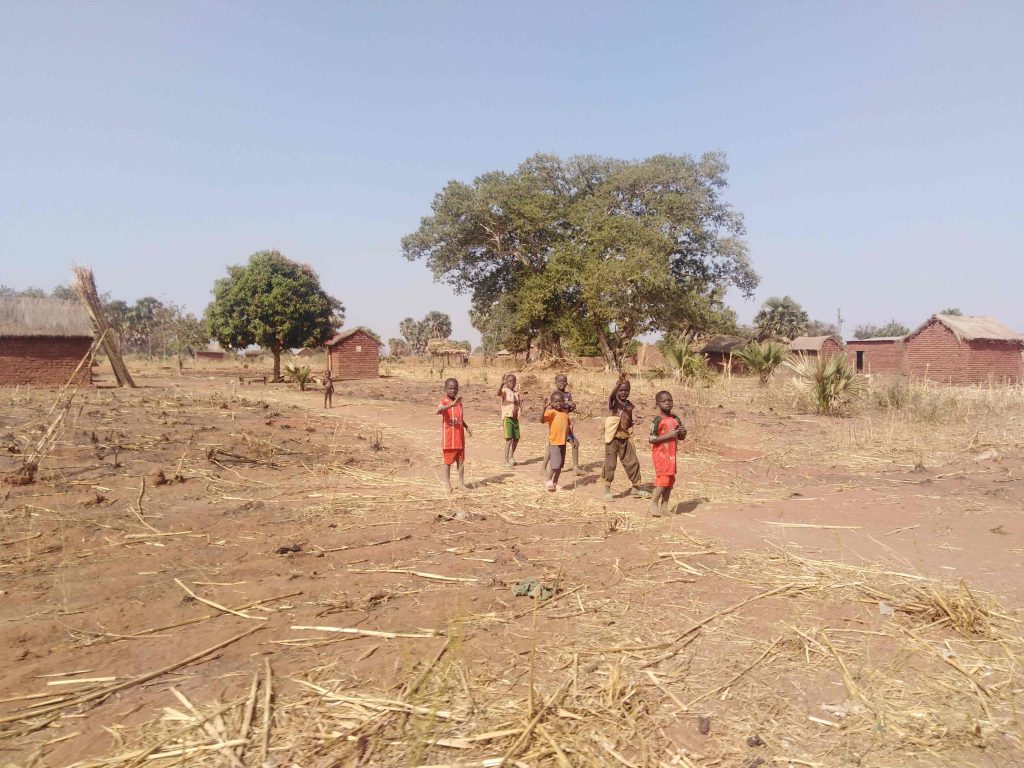 La siccità ha reso la savana ancora più secca, gli abitanti devono arrangiarsi con il poco raccolto ottenuto