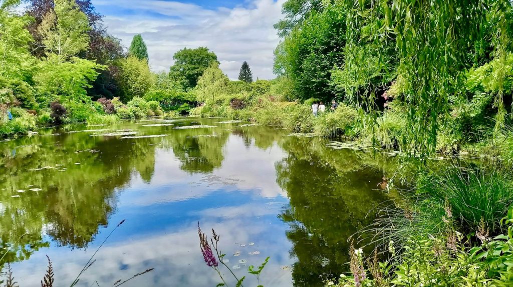 Lo stagno delle ninfe (Venziani)