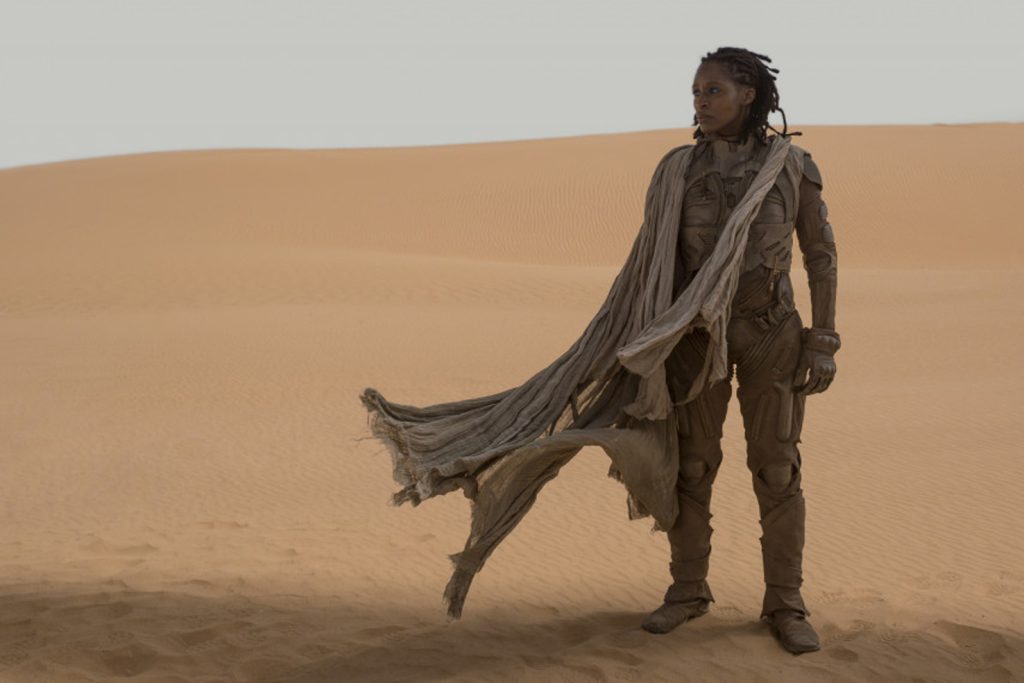 Una fremen dalla locandina di Dune di Denis Villeneuve. (www.movies.com - Warner Bros)
