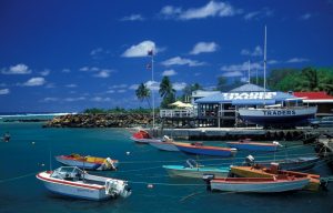 Il respiro fiorito di Rarotonga