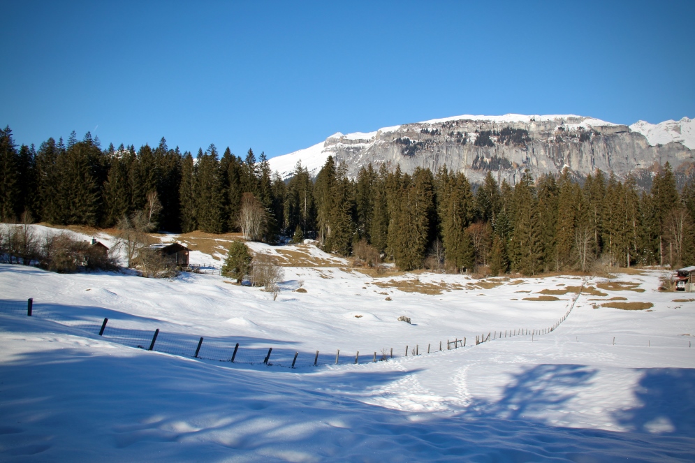 Baite montane a Conn sullo sfondo il Flimserstein