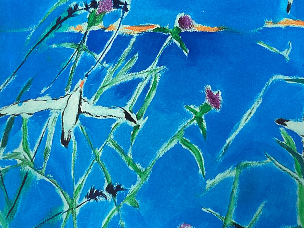 Immagine della copertina dell’edizione italiana del libro di Rebecca Gisler, edito da Dadò