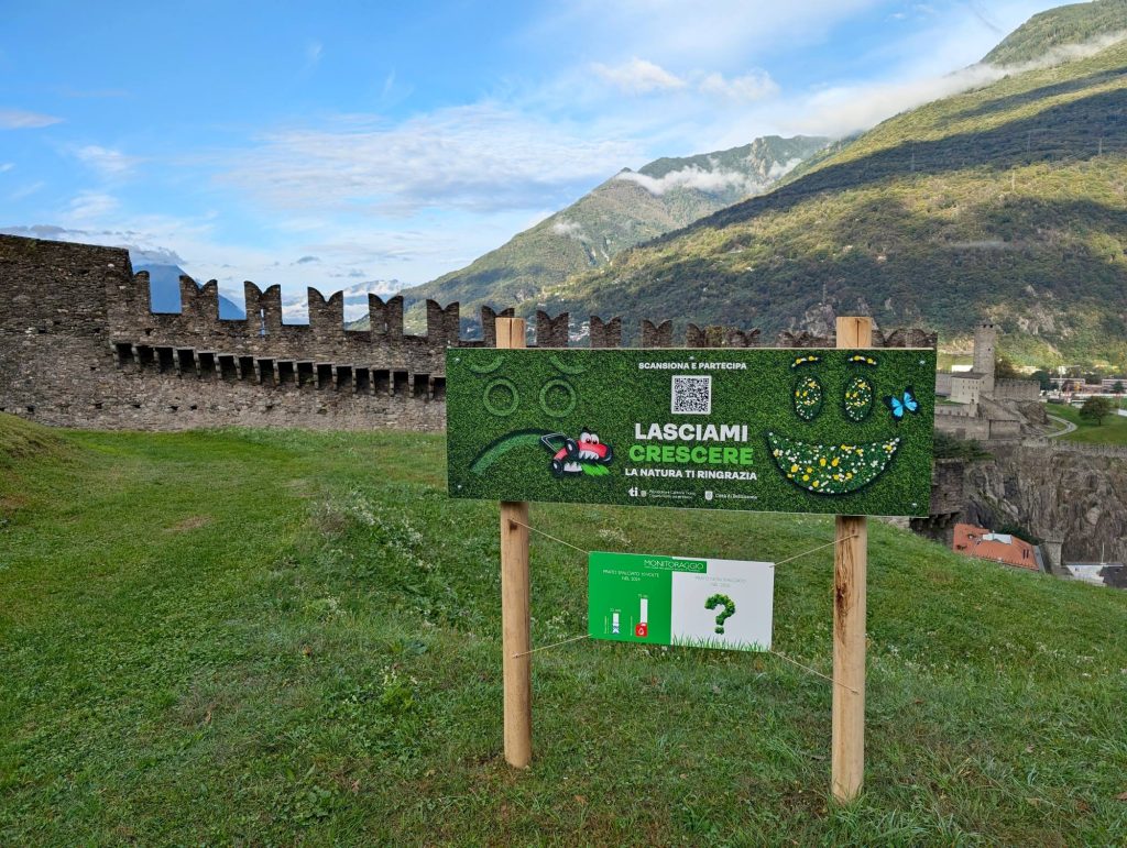 Uno dei cartelli informativi presenti a Bellinzona abbinati anche a un sondaggio (www.ti.ch/dt)