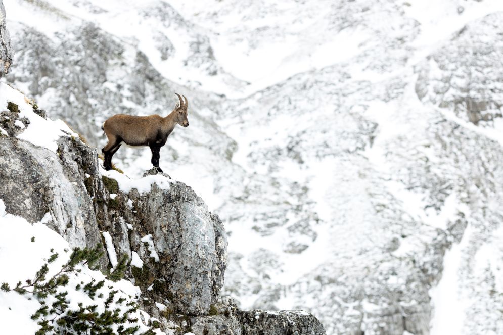 (Nature-Loisirs)