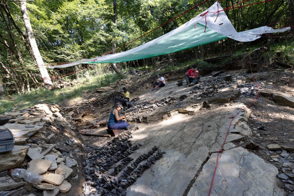 Scavi a Sceltrich nel 2024. (FMSG)