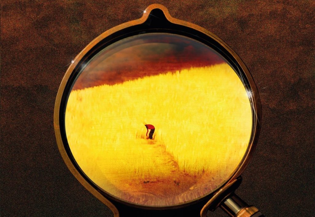 La copertina del nuovo disco 