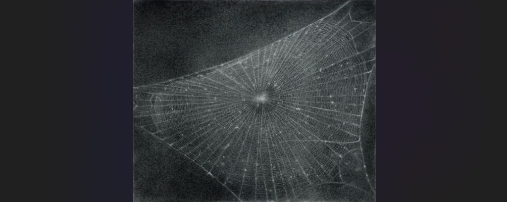 Vija Celmins, Untitled (Web #1), 1999, Senza titolo (Rete #1) (© Vija Celmins, Courtesy Matthew Marks Gallery Foto: Tate)