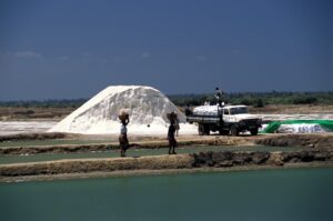 Da qui Vasco da Gama salpò per l’India