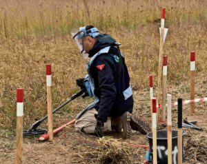 Fiuto e coraggio tra i campi minati