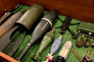 Fiuto e coraggio tra i campi minati