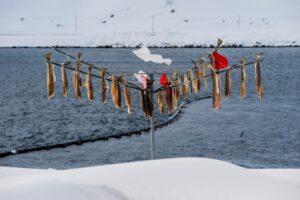 Honningsv&aring;g, una Macondo artica