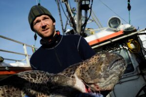 Honningsv&aring;g, una Macondo artica