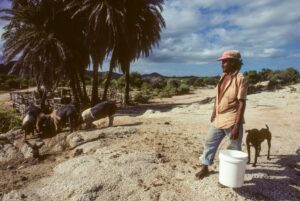 L&rsquo;origine dimenticata della California