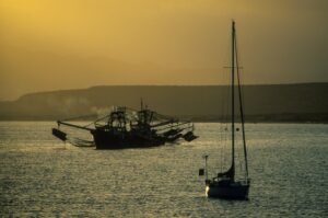 L&rsquo;origine dimenticata della California