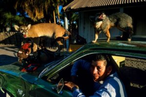 L&rsquo;origine dimenticata della California