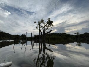 La liquida terra dell&rsquo;arcipelago di Anavilhanas
