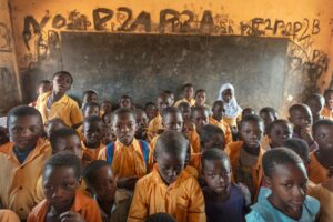 Nel santuario dei grandi elefanti del Ghana